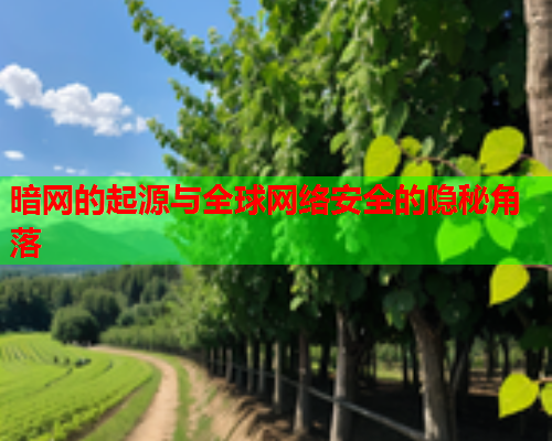 暗网的起源与全球网络安全的隐秘角落