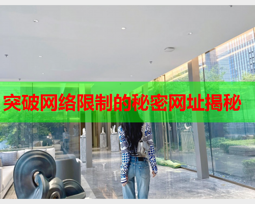 突破网络限制的秘密网址揭秘