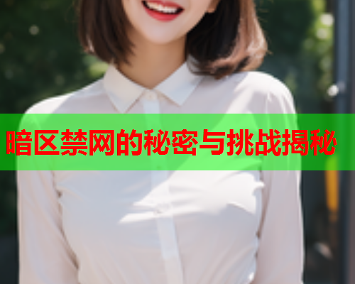 暗区禁网的秘密与挑战揭秘