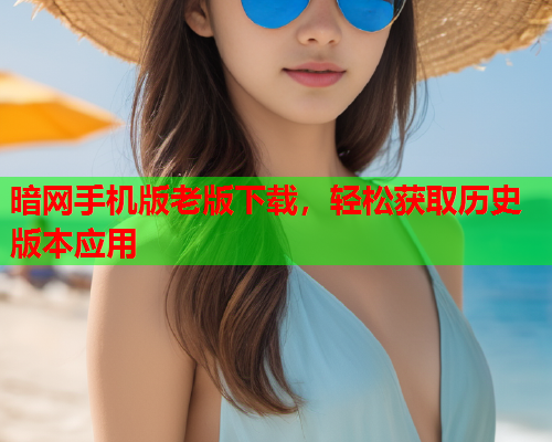 暗网手机版老版下载，轻松获取历史版本应用